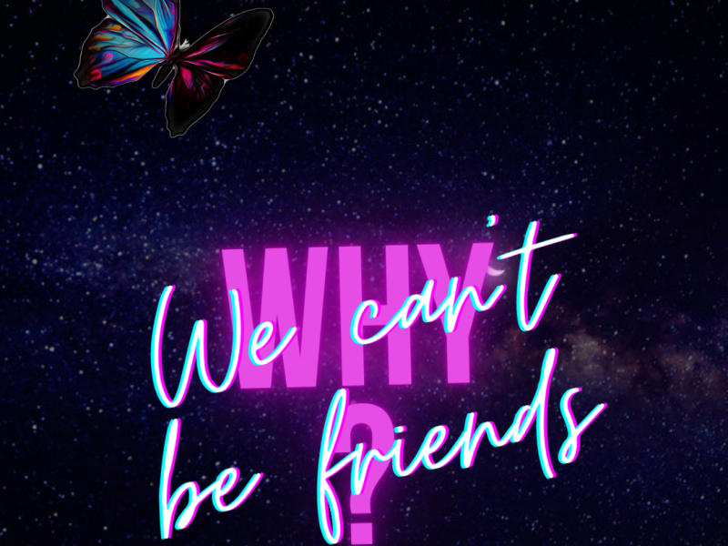WE CAN’T BE FRIENDS…